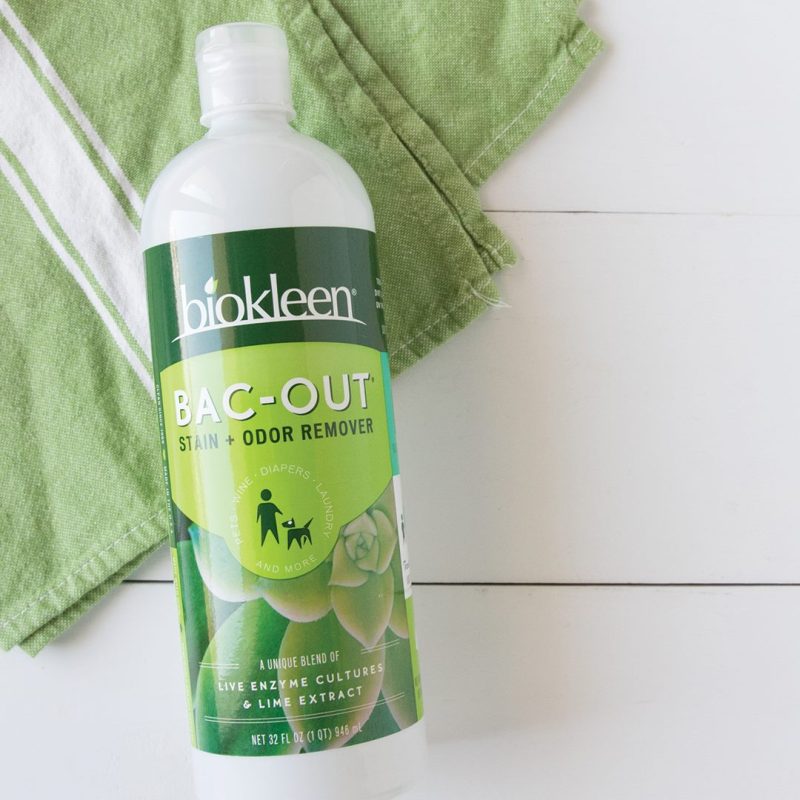 Photo by https://www.google.com/url?sa=i&url=https%3A%2F%2Fwww.walmart.com%2Fip%2FBiokleen-Bac-Out-Stain-Odor-Remover-Live-Enzyme-Cultures-Lime-Extract-32-Fl-Oz%2F25357855&psig=AOvVaw3tM75AUpobxtCke148GLKL&ust=1664526347701000&source=images&cd=vfe&ved=0CA0QjhxqFwoTCLCTzILKufoCFQAAAAAdAAAAABAD