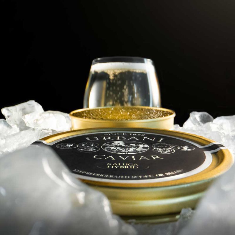 Kaluga Hybrid Caviar